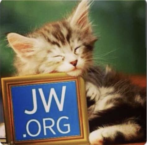 Pin By Marie Senn On Jworg Jehovahs Witnesses Jehovah