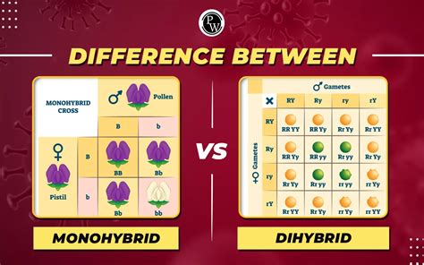 Difference Between Monohybrid And Dihybrid With Examples