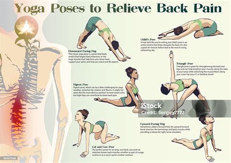 Best Stretches For Stiff Lower Back