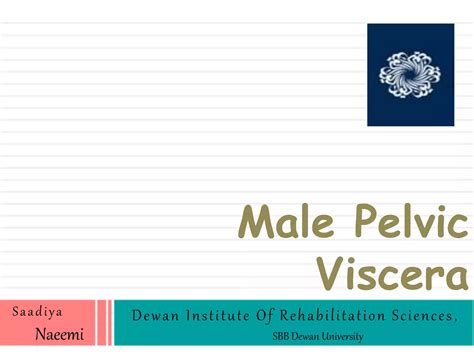 Male Pelvis Viscera Ppt