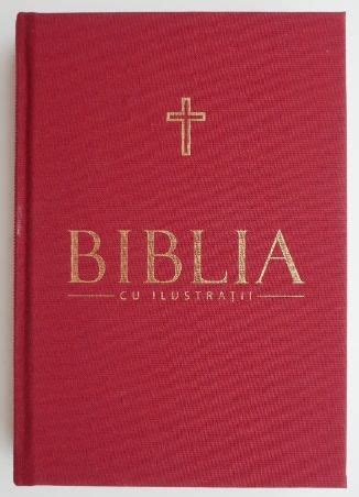 Biblia Cu Ilustratii Vol I