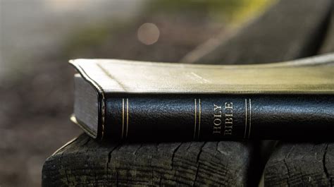 8 Eye Opening Books On The Bible Putting Bible Into The Right