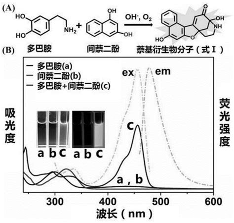 一种萘基衍生物分子及其制备方法和多巴胺的检测方法与流程