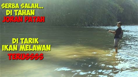 EDYAN BENER BENER GILAA IKAN NILEM SUNGAI SERAYU SEPERTI GA ADA