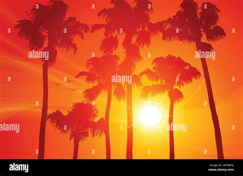 Warm Evening Beach With Palm Trees Silhouettes Against A Red Orange Sunset Background Vector