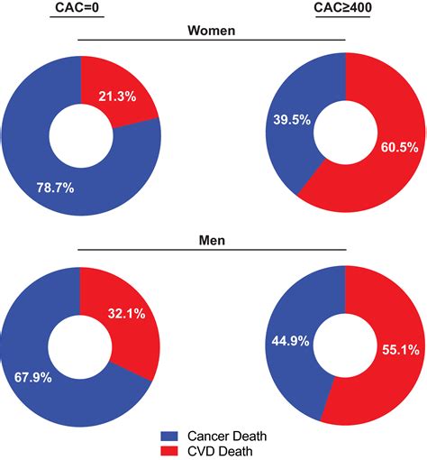 Coronary Artery Calcium As A Synergistic Tool For The Age‐ And Sex