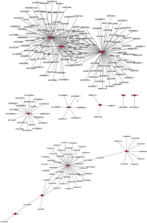 The Network Between 275 Lncrnas 12 M6a Regulators Red Represents M6a