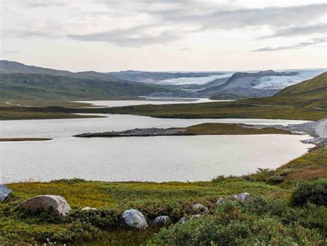 Greenland 2026 Solar Eclipse Cruise On The Go Tours