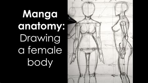 Manga Anatomy How To Draw Female Body Full Lesson Youtube