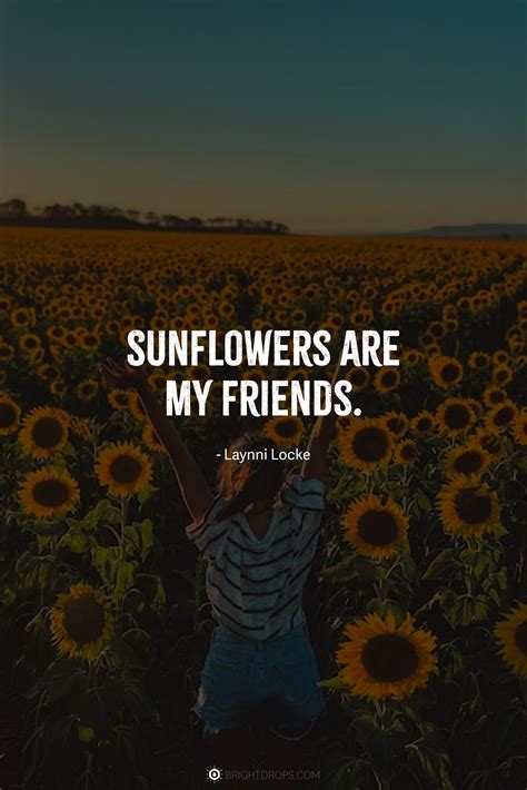 147 Sunflower Quotes for Instagram and Social - Bright Drops