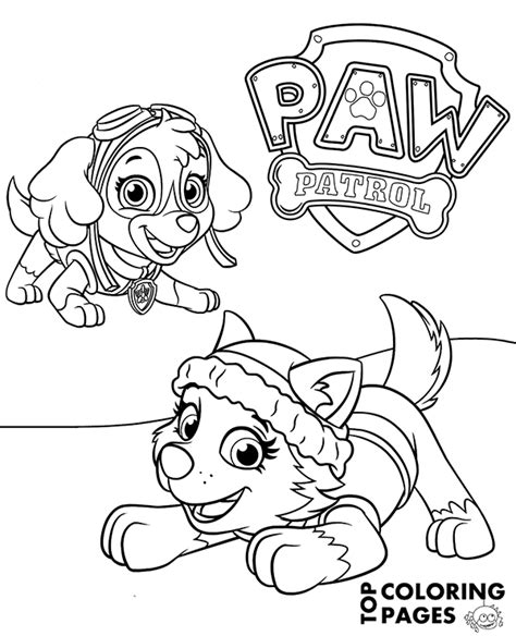 Paw Patrol Coloring Pages Skye | Hakume Colors