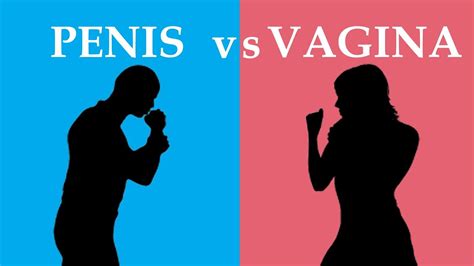 Penis Vs Vagina Youtube