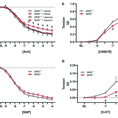 Expression Of Individual Sirtuin Isoforms In SIRT6 And SIRT6