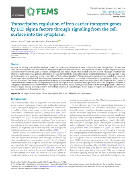 PDF Transcription Regulation Of Iron Carrier Transport Genes By ECF