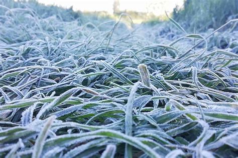 Kiedy spadnie pierwszy śnieg Sprawdź najnowszą prognozę