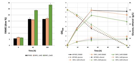 Lipid Optical Density And Glucose Utilization In Aerobic Shake