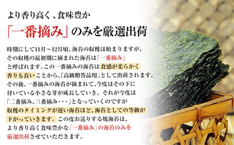 訳あり 一番摘み 有明海産 海苔 80枚 熊本県産（有明海産）全形40枚入り×2袋 《45日以内に出荷予定土日祝除く》 Fn