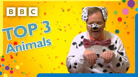 Mr Tumbles Top 3 Animals Mr Tumble And Friends Youtube