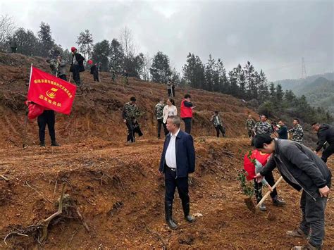 茶恩寺镇：春风拂沃野 植绿正当时湘潭县新闻网