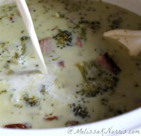 Slow Cooker Cream of Broccoli and Ham Soup