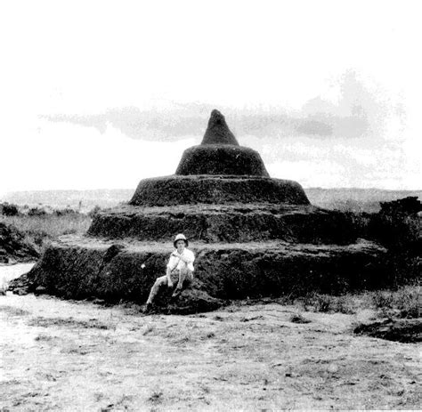 ANCIENT PYRAMIDS IN IGBO LAND SUGGEST A WEST AFRICAN ORIGIN - IGBO ...