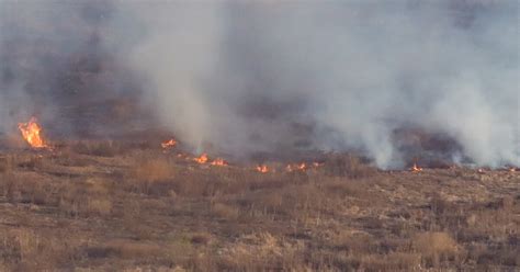 Incendios Forestales En Salta Casi 4000 Hectáreas Afectadas Por El