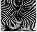 Introduction To Fingerprints Forensics Digest