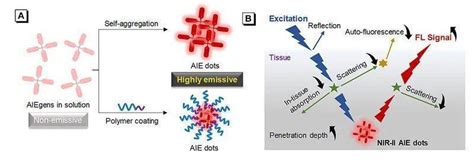 【综述】angew：近红外二区的聚集诱导发光分子——强强联合如虎添翼成像