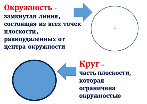 Окружность и круг