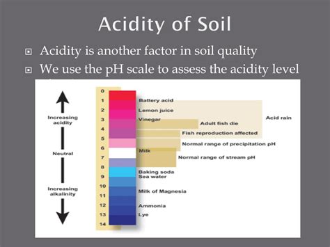 Ppt Soil And Acid Precipitation Powerpoint Presentation Free