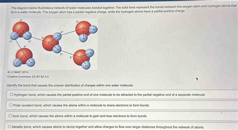 The Diagram Below Illustrates A Network Of Water Molecules Bonded