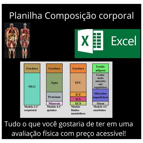 Calculo Percentual De Gordura Dobras