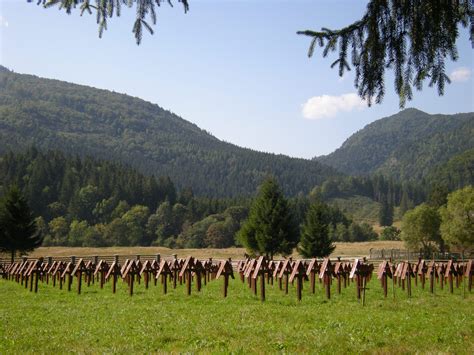 Dialog Ntre Autorit Ile Din Harghita I Bac U I Reprezentan I Mapn