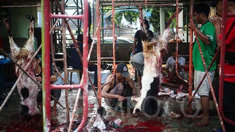 Antrean Pembagian Daging Kurban Di Masjid Cut Meutia Foto Tempo Co