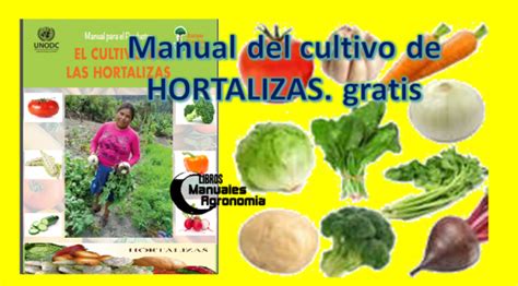 Manual Del CULTIVO DE HORTALIZAS Libros Gratis Pdf Libros Y