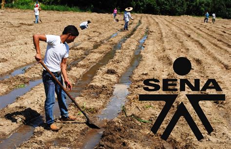 Aprende Con El Sena Curso Gratis De Adecuar El Terreno Para