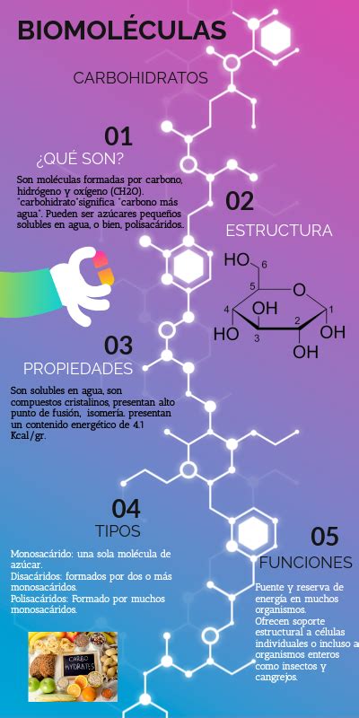 INFOGRAFÍA BIOMOLECULAS