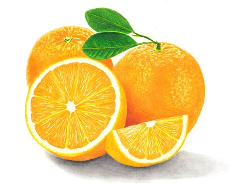 Oranges By Miszael Drawings On Deviantart