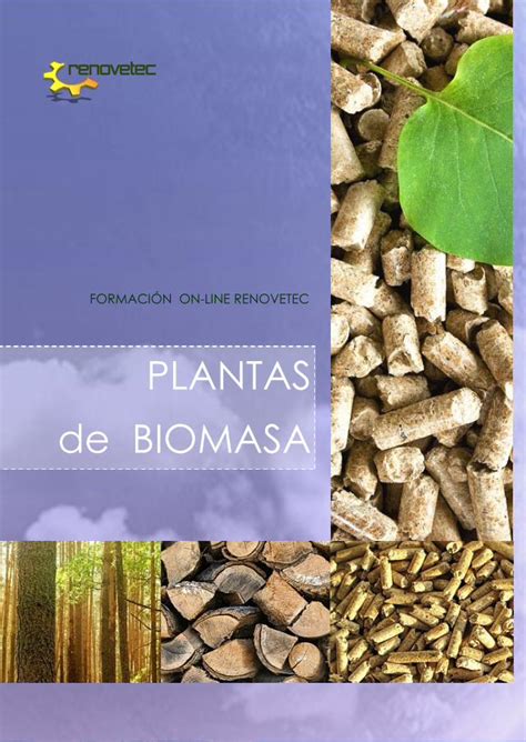 Pdf Plantas De Biomasa Renovetec Y Conozca Los Principales