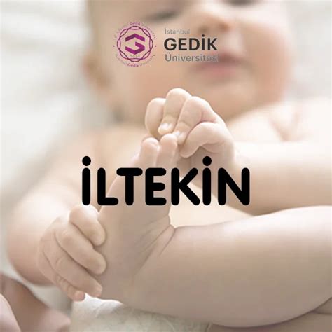 İltekin İsminin Anlamı Nedir Detaylı İsim Analizi