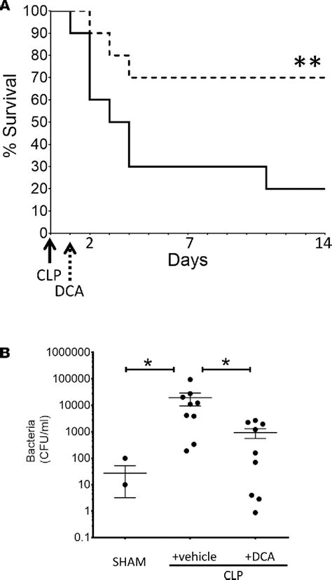 Figure 9 From Pyruvate Dehydrogenase Complex Stimulation Promotes