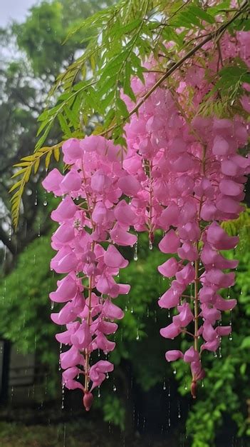 Premium Ai Image A Tree With Pink Flowers Hanging From It