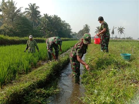 Malang Post Bantu Petani Gotong Royong Bersihkan Saluran Irigasi