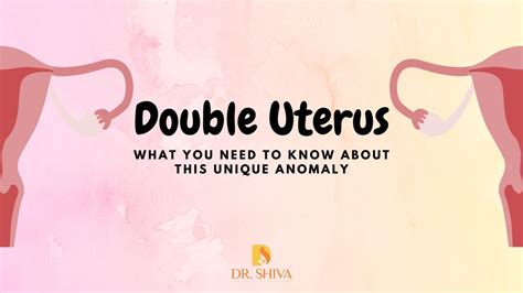 Double Uterus Or Uterus Didelphys Dr Shiva