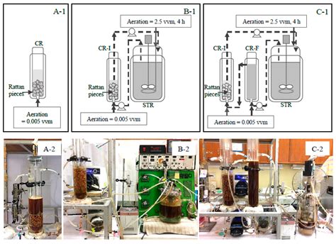 Fermentation Free Full Text Repeated Batch Ethanol Fermentation