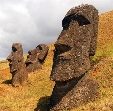 Sab Asque Las Estatuas Mo I Localizadas En La Isla De Pascua Fueron