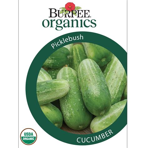 Burpee Organic Picklebush Cucumber Vegetable Seed 1 Pack