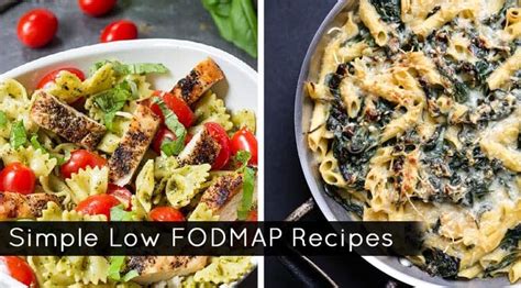 Quick And Easy Low Fodmap Dinner Recipes Dandk Organizer