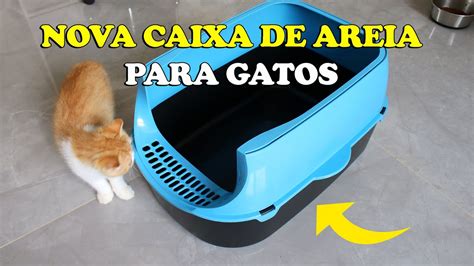 Testei Nova Caixa De Areia Para Gatos Gatil Hauser Youtube