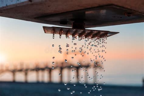 Gotas De Agua Que Arrojan Del Cabezal De Ducha Al Aire Libre En La